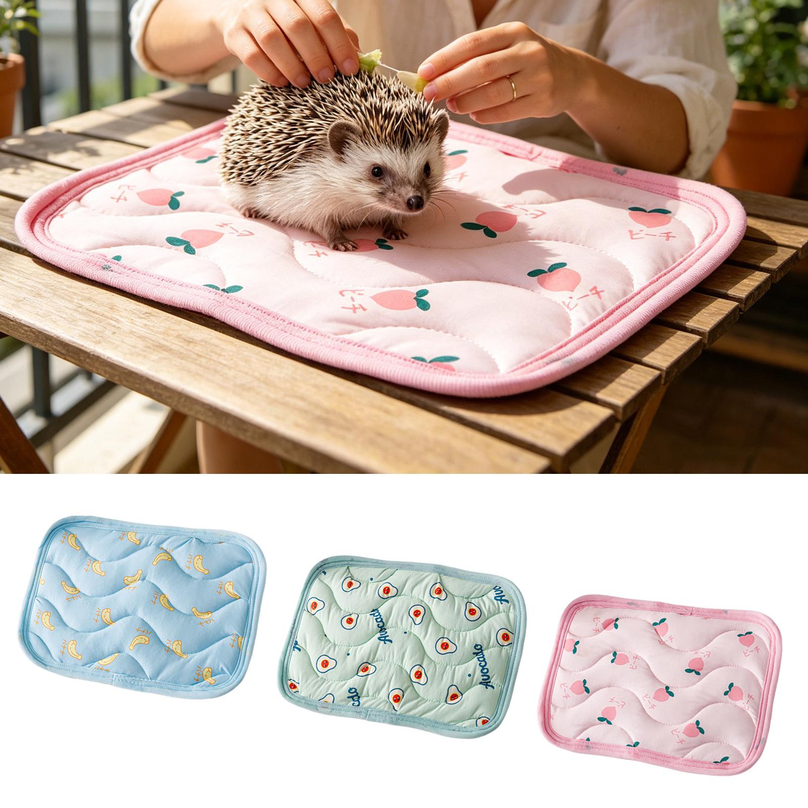 Outdoor Camping Dog Bed - Tapete Refrescante para Animais de Estimação,